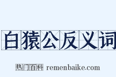 白猿公反义词是什么意思的图片